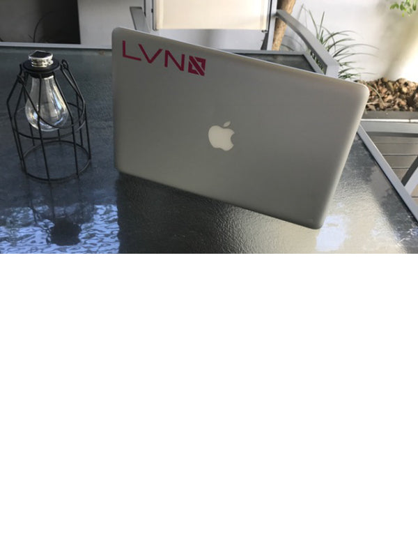 SMALL LONG LVN VINYL STICKERS